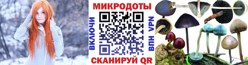 Псилоцибиновые грибы прущие грибы  OMG ссылки  Пудож 